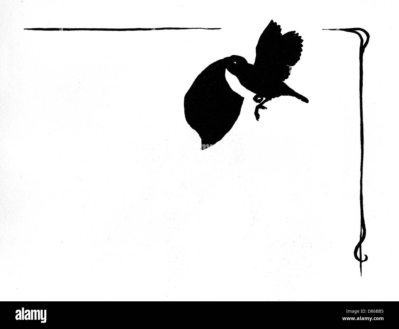 Jack Sparrow vola con il punteggio del cricket Foto Stock