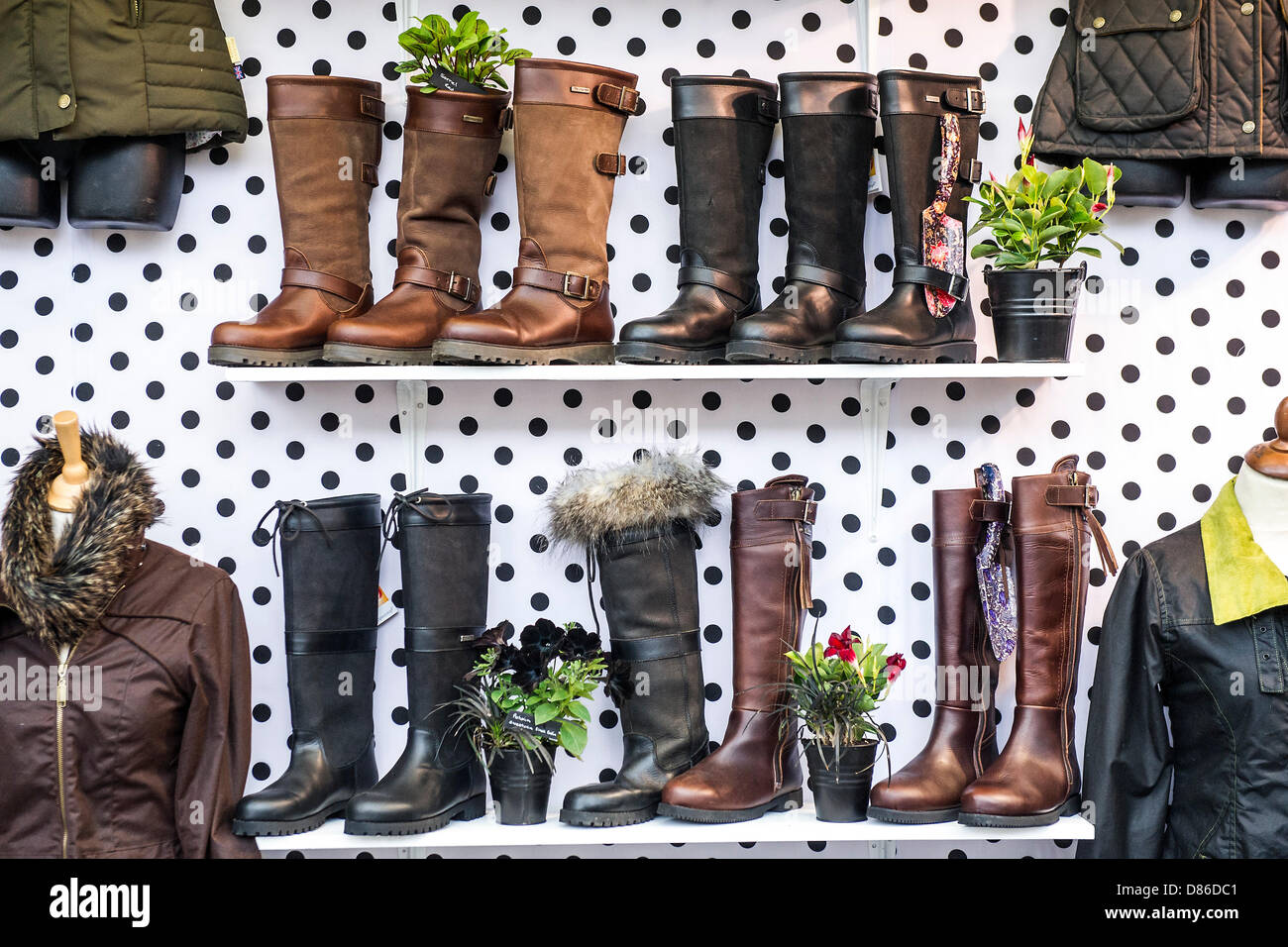 Londra, Regno Unito. 20 Maggio 2013.Il primo giorno del Chelsea Flower Show. Il Royal Hospital Chelsea. Credito: Guy Bell/Alamy Live News Foto Stock