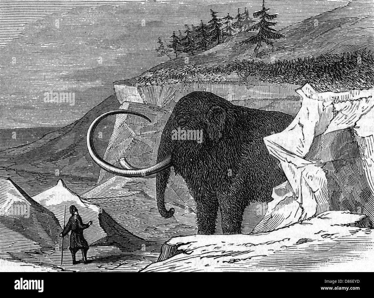 Scoperta del mammut di Adams, 1799 Foto Stock