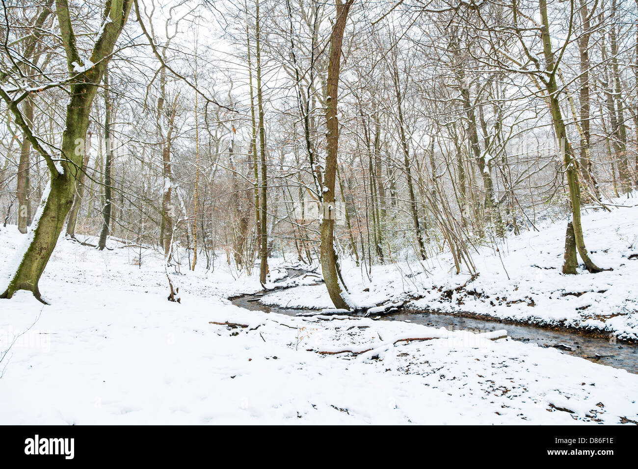 Piccolo ruscello in presenza di neve Burnham Beeches, Buckinghamshire, UK Foto Stock