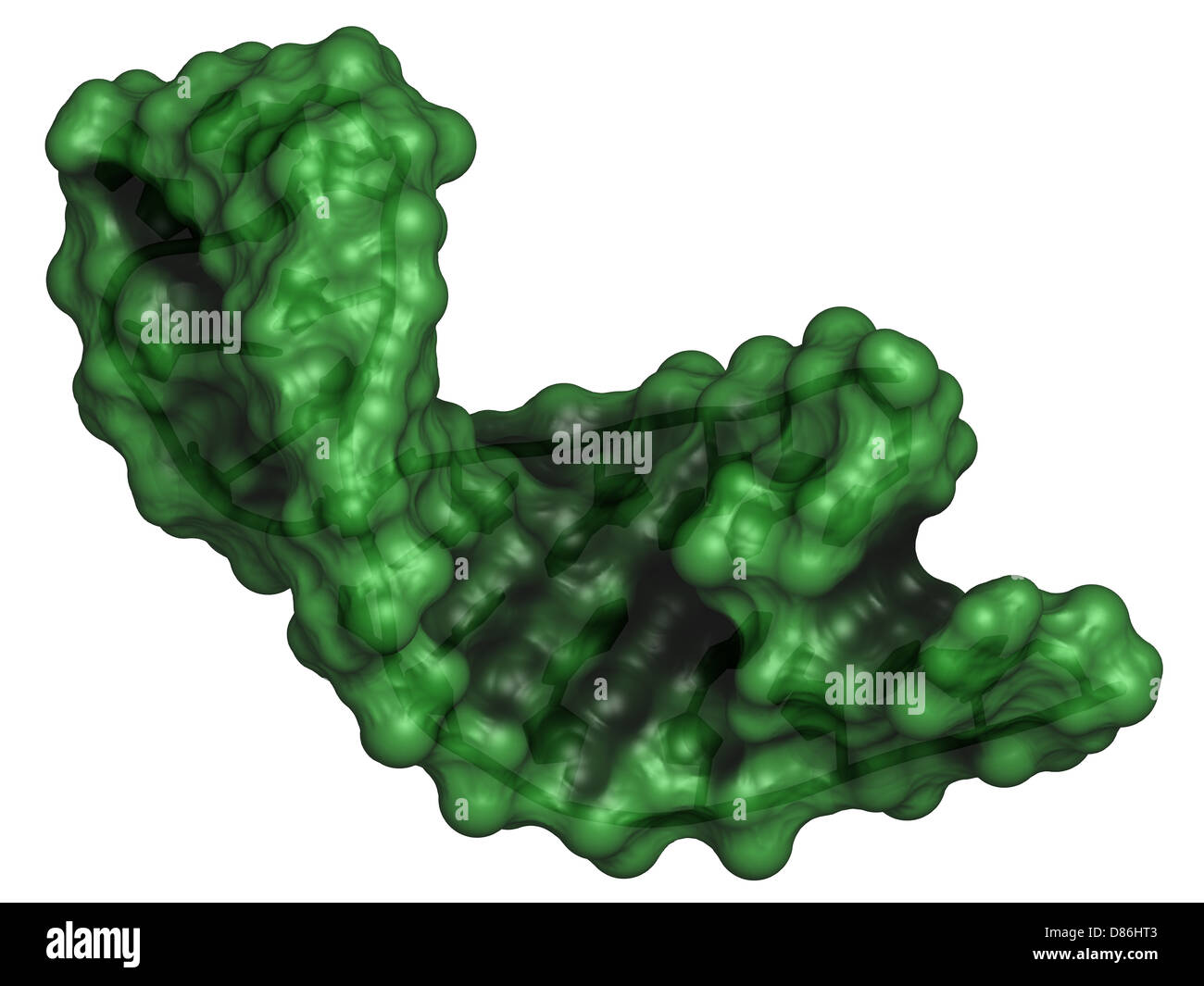 Micro RNA (miRNA, HSA-miR-133a) Struttura, modello di computer. MiRNA è non-codificanti RNA che ha il gene funzioni di regolamentazione. Foto Stock