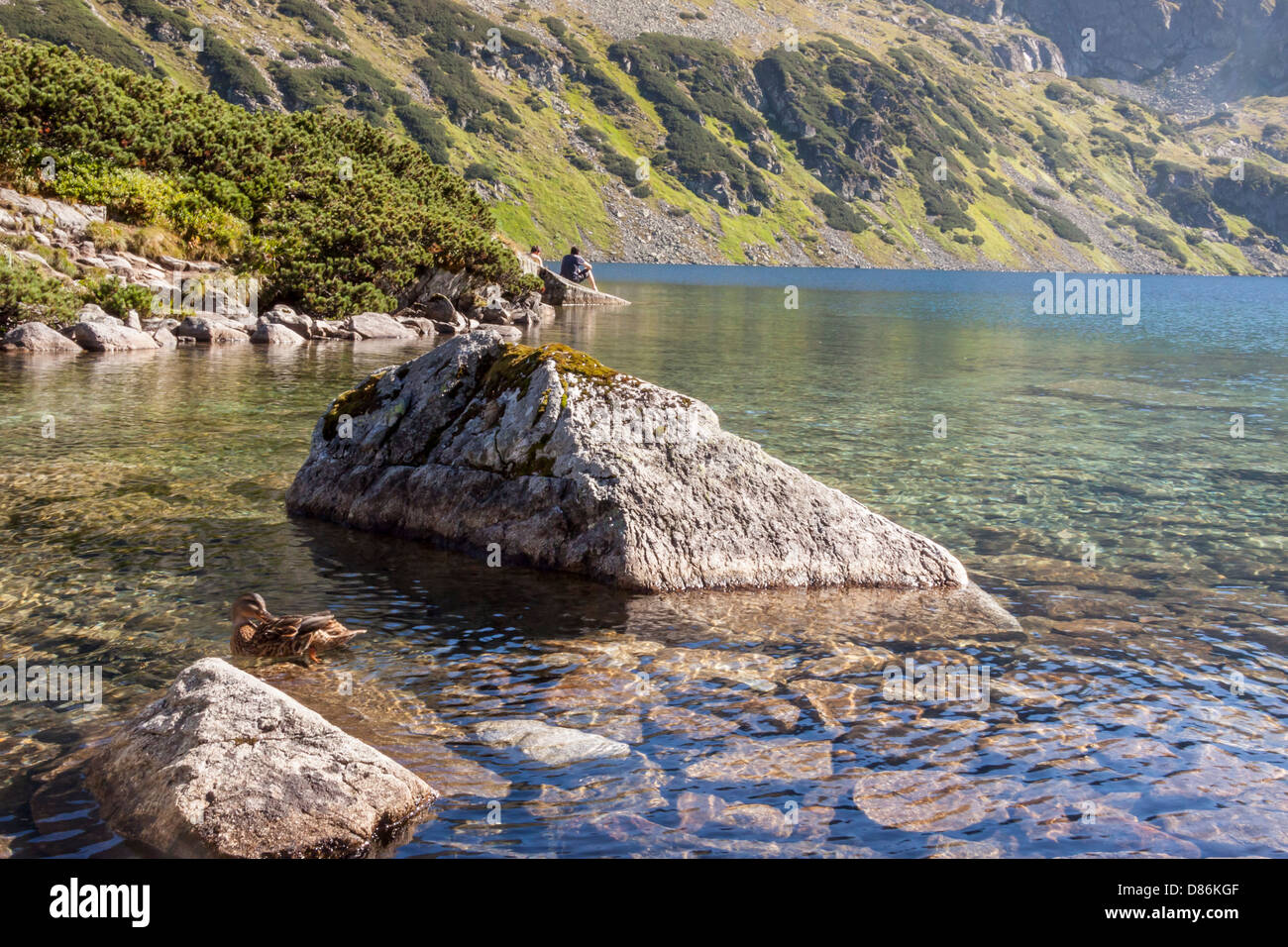 Vista sul grande lago è uno dei cinque laghi nei monti Tatra, in Polonia, in Europa. Foto Stock