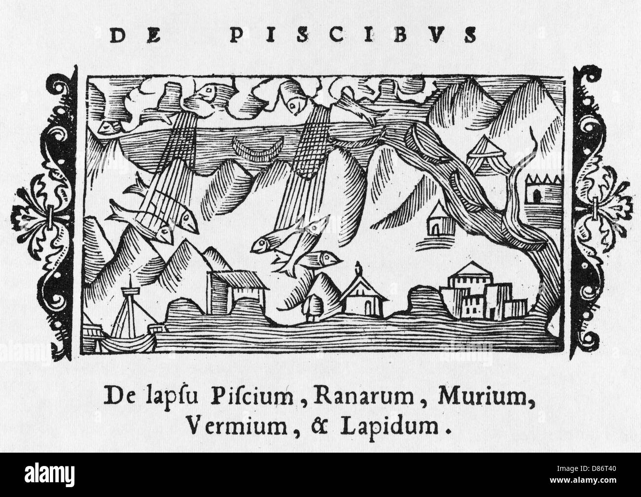 Caduta di pesci Foto Stock