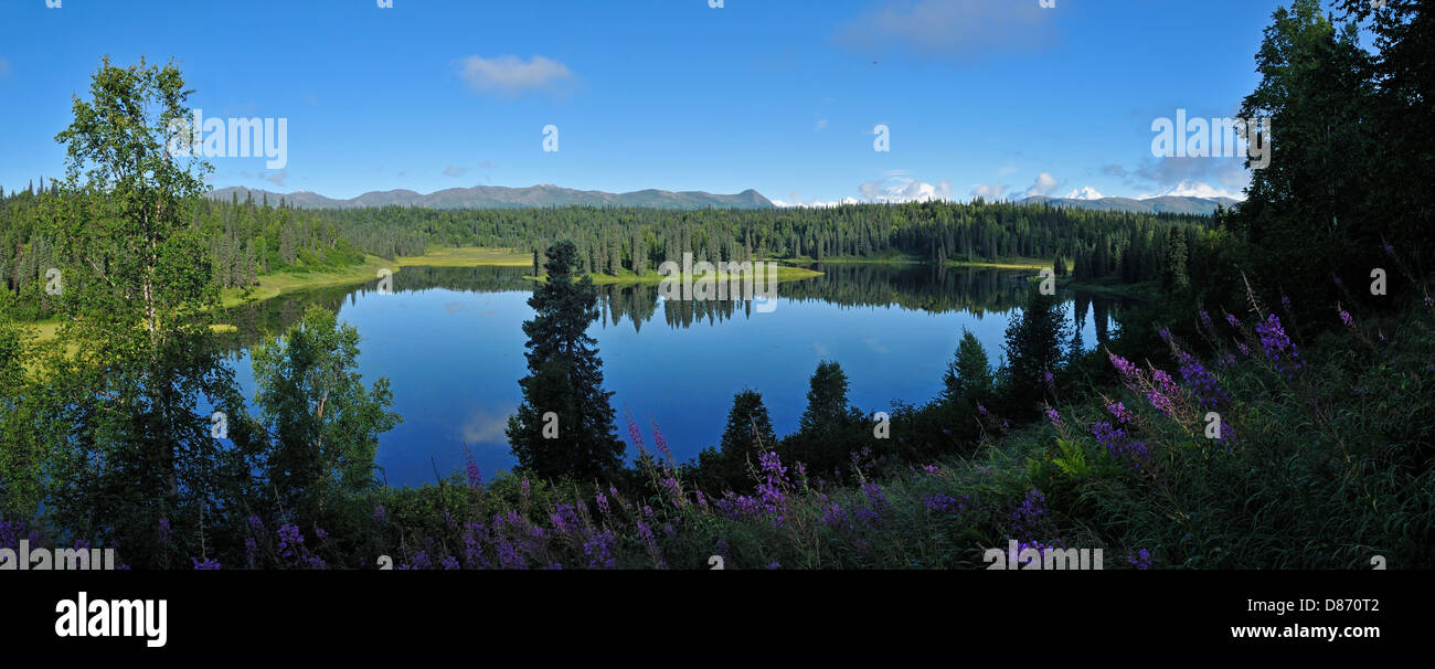 Stati Uniti d'America, Alaska, vista del monte Mckinley, Mount Hunter e il Monte Foraker da Kroto Lago Foto Stock