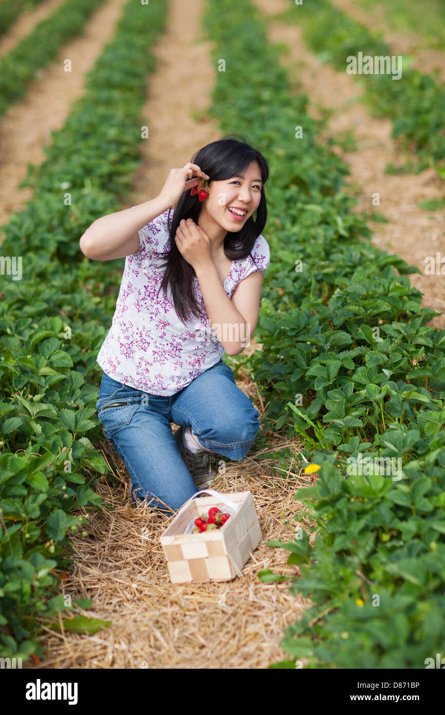 In Germania, in Baviera, giovane donna giapponese la raccolta di fragole in campo Foto Stock
