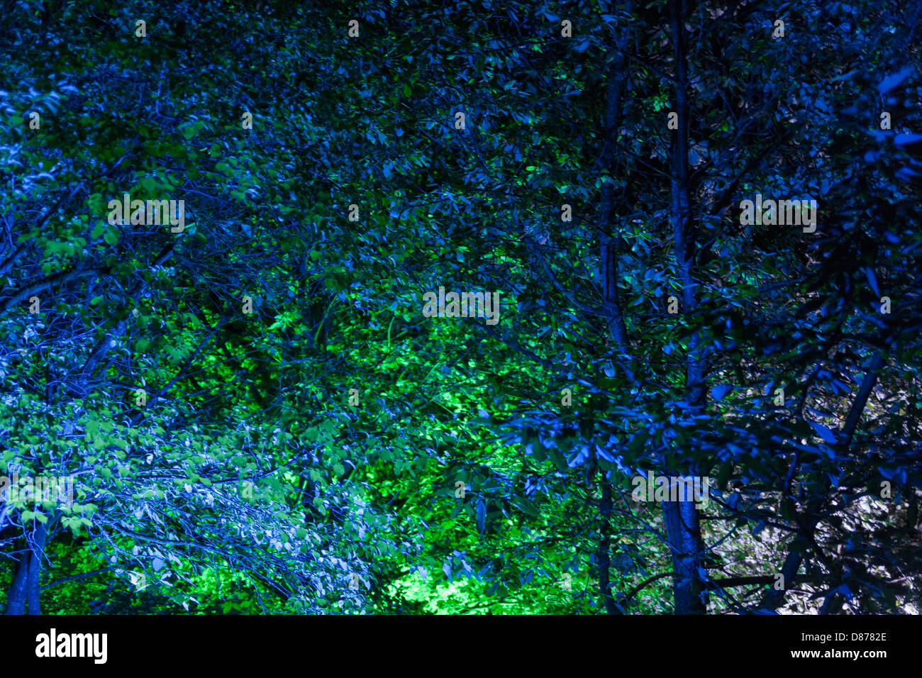 In Germania, in Baviera, illuminato alberi ad estate rave party Foto Stock