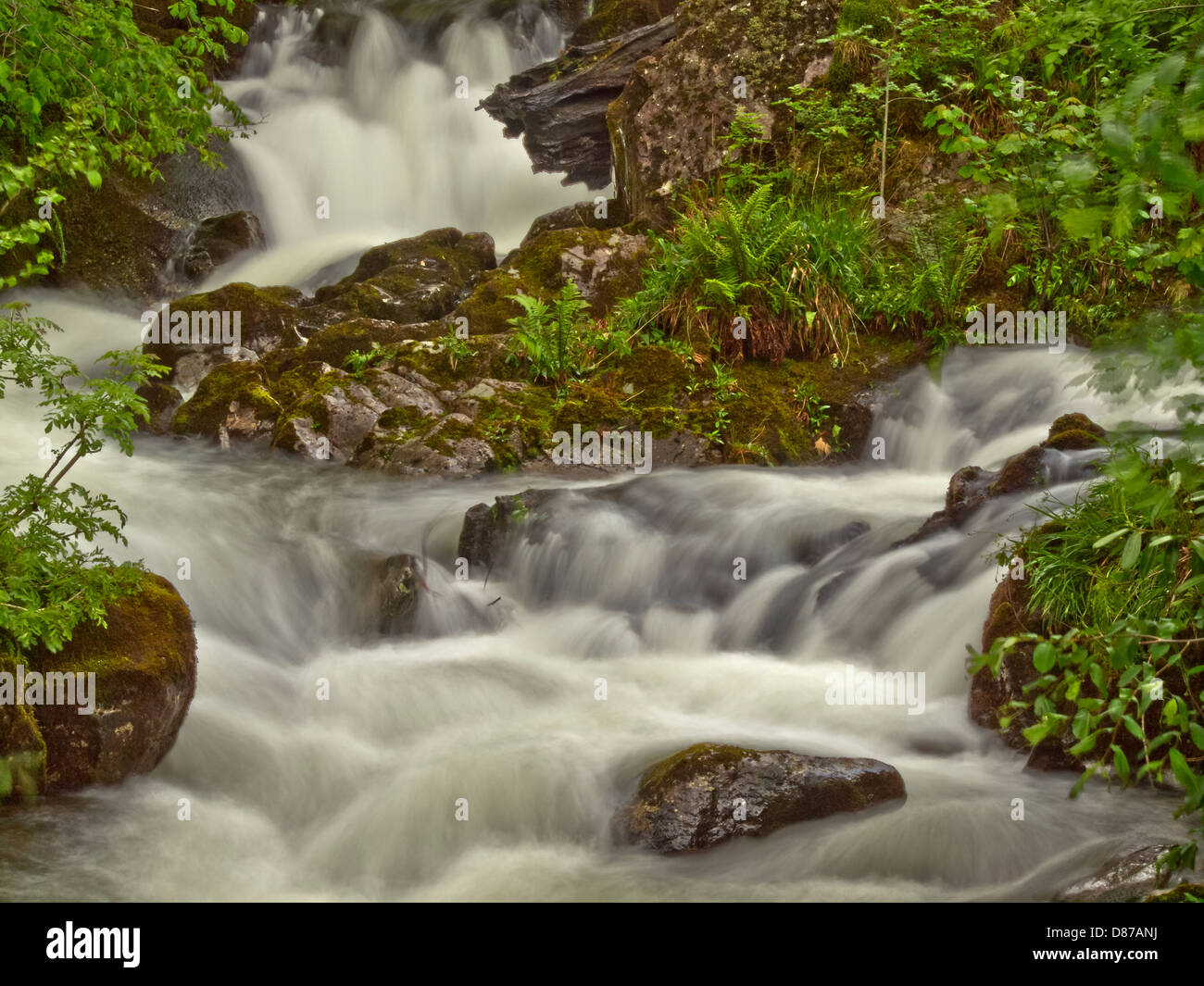 Cascata con scogliere, Lake District. lungo exposer per lattiginoso acqua sfocata guardare Foto Stock