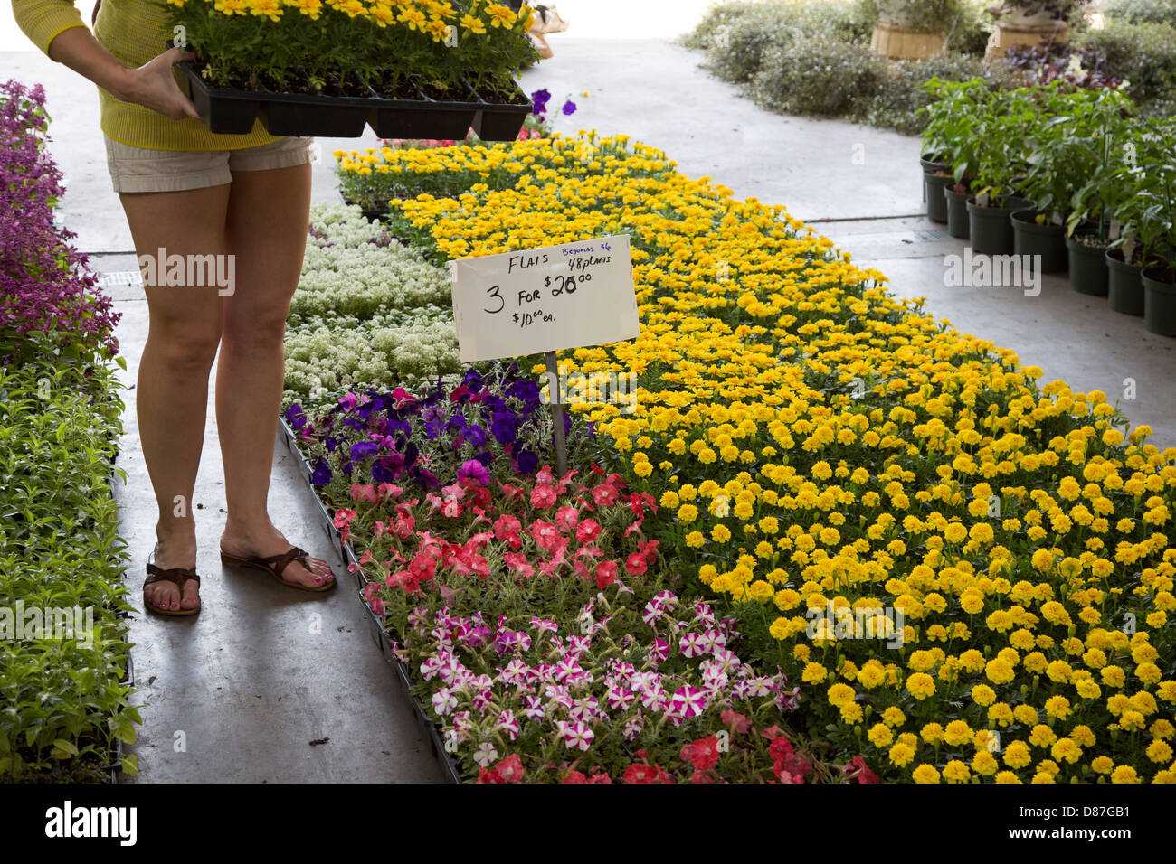 Flower giorno a Detroit Orientale (agricoltori) Mercato Foto Stock