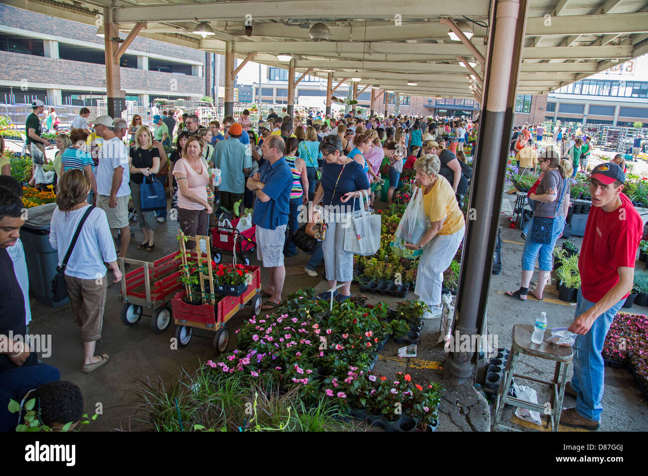 Flower giorno a Detroit Orientale (agricoltori) Mercato Foto Stock