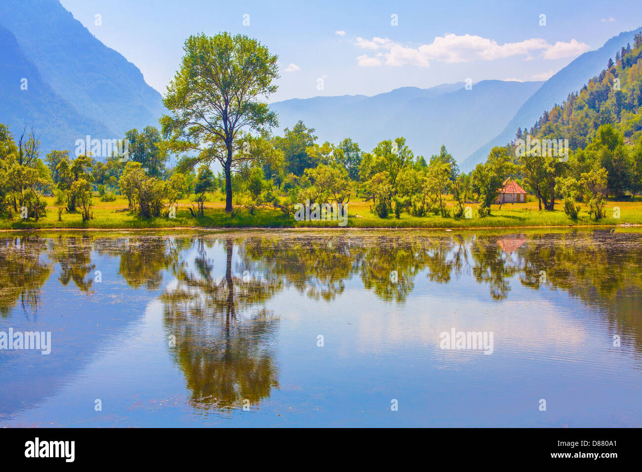 Natura verde paesaggio con montagne Foto Stock