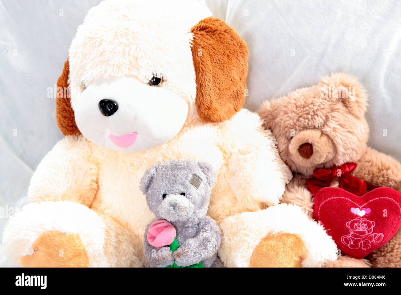 Tre peluche su sfondo bianco Foto Stock