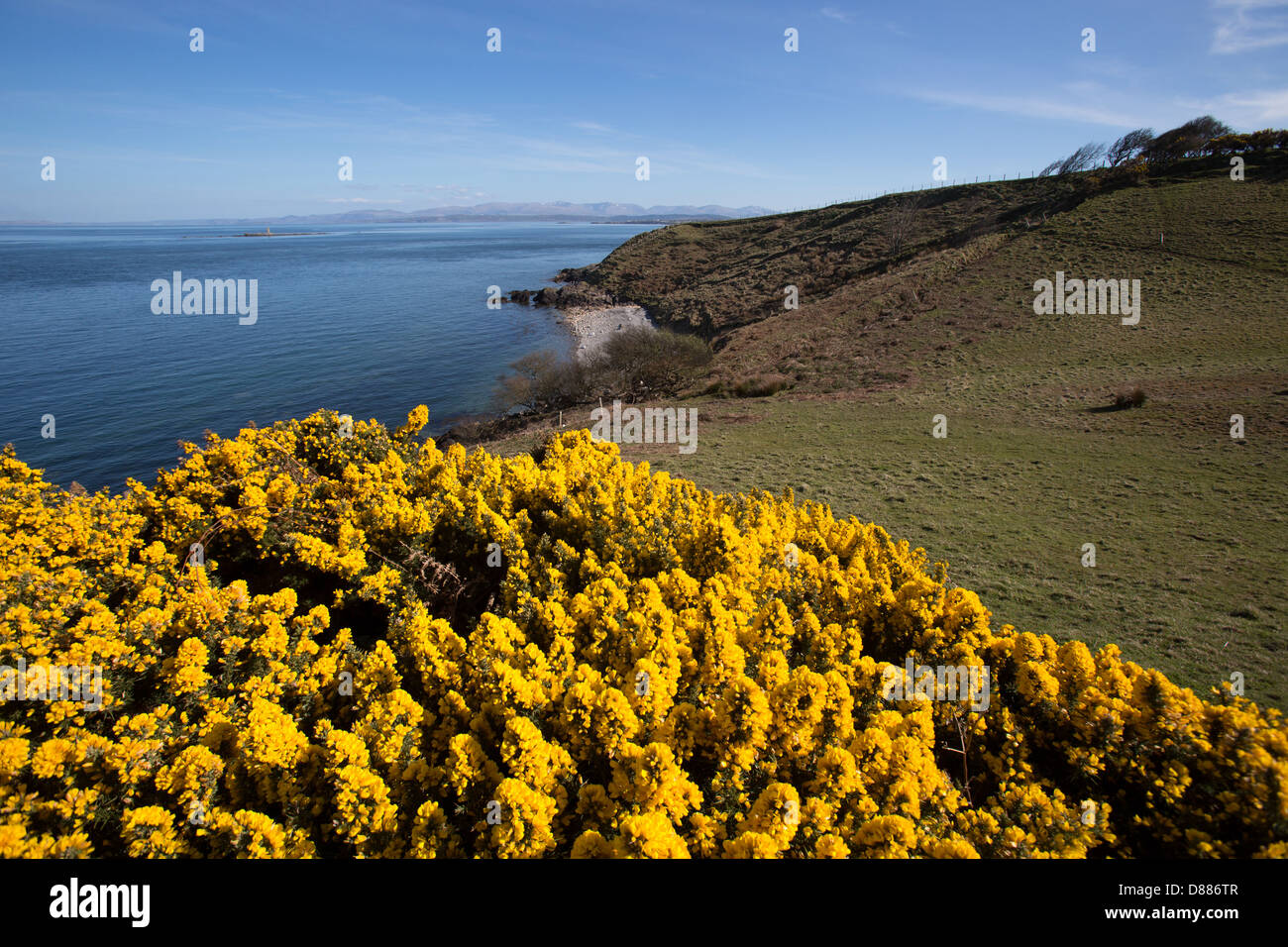 Il Galles sentiero costiero nel Galles del Nord. Vista pittoresca della costa orientale di Anglesey con Porthygwichiaid in background. Foto Stock