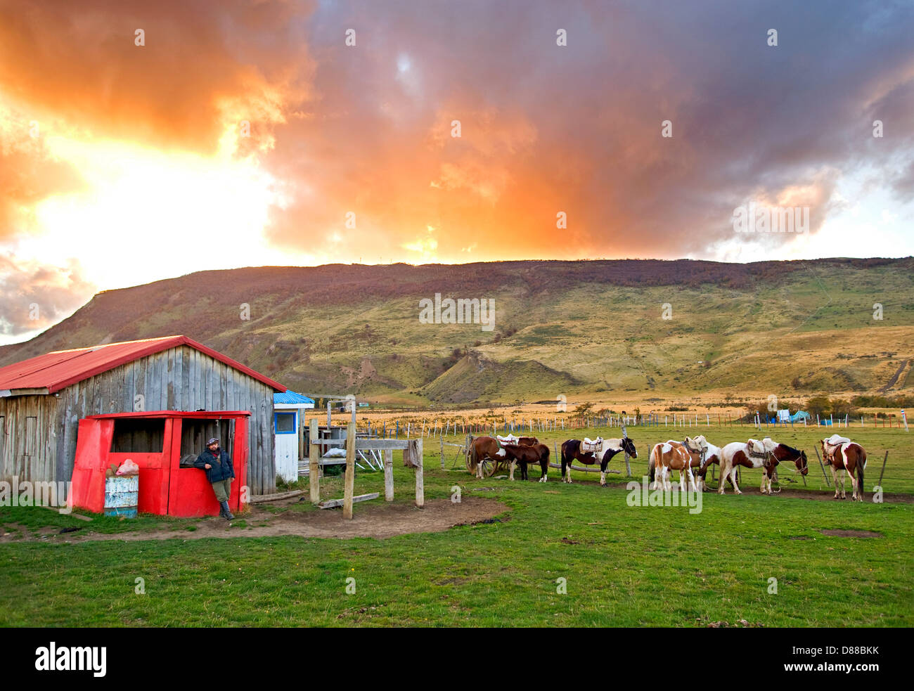 Horse Farm in Patagonia cilena Foto Stock