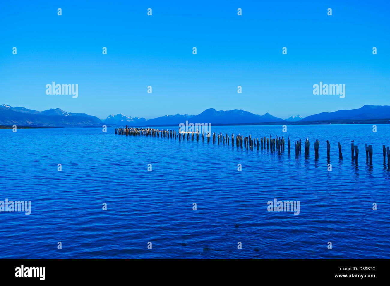 Puerto Natales, Cile Foto Stock