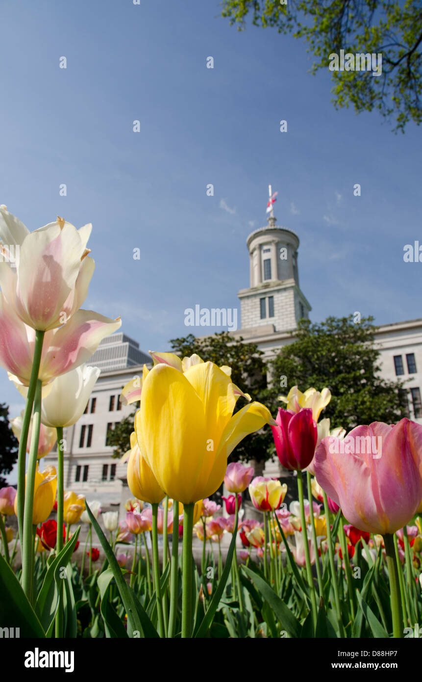 Tennessee, Nashville. Tennessee State Capitol, East Garden. Foto Stock