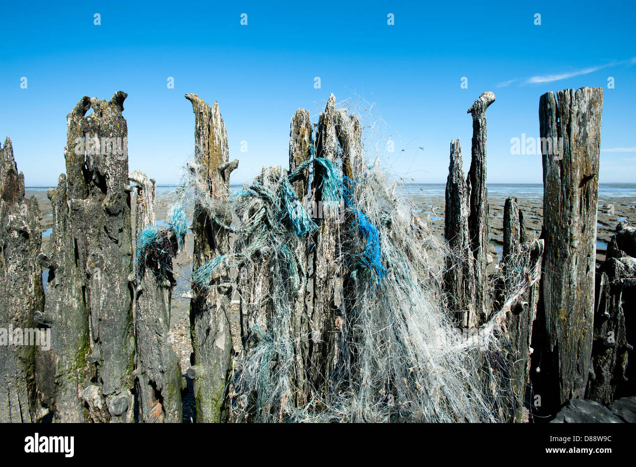 De ruimte van het borra in stilte de waddenzee in Nederland moddergat Foto Stock