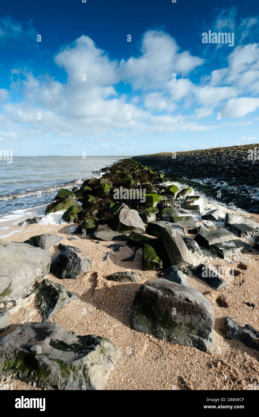 De ruimte van het borra in stilte de waddenzee in Nederland Foto Stock