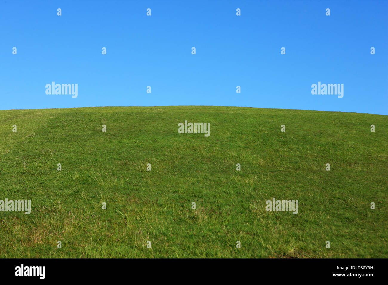Cielo blu e l'erba verde pendio collinare Foto Stock