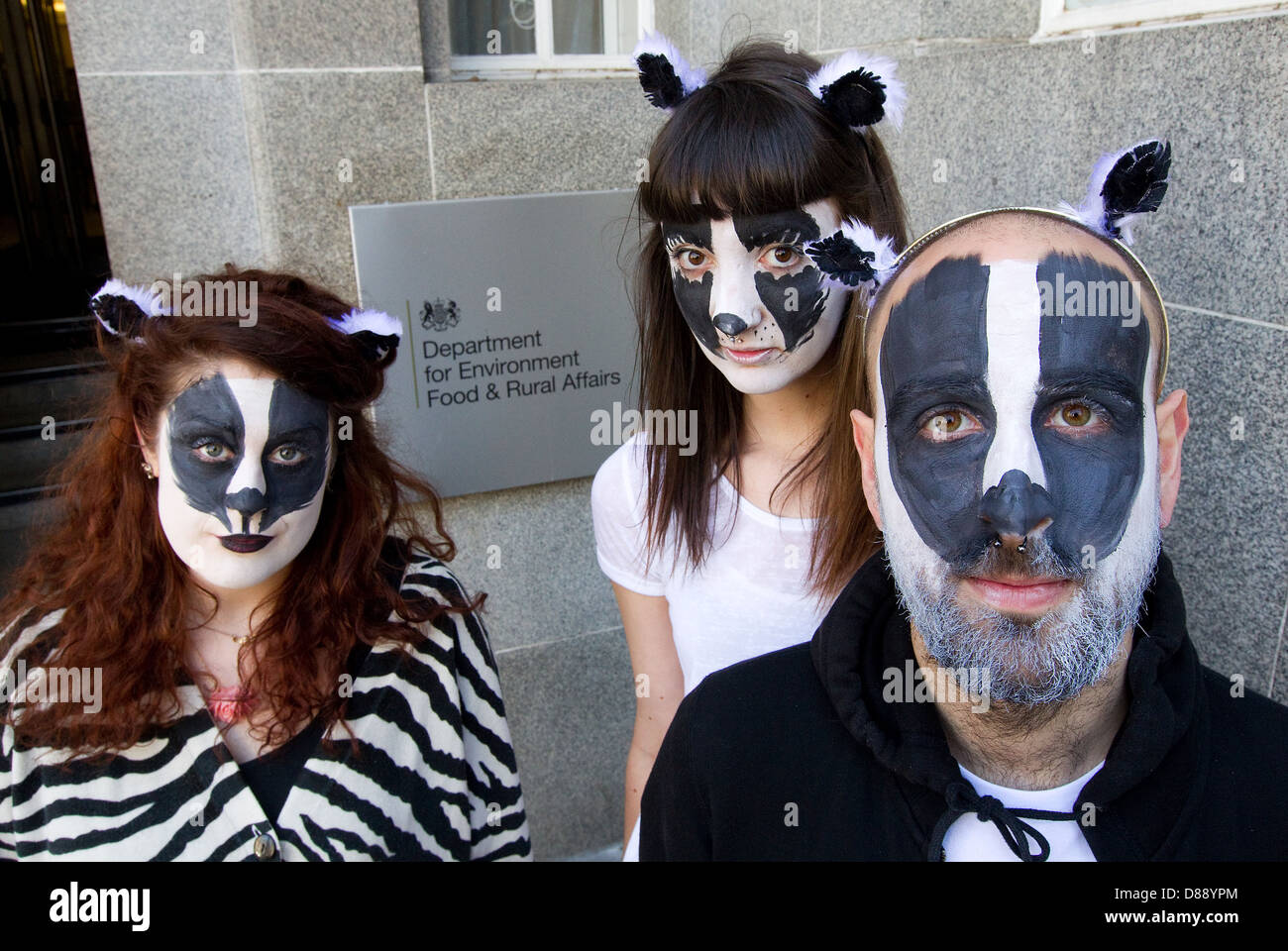 Badger flashmob fuori DEFRA a dimostrare contro il Badger cull Foto Stock