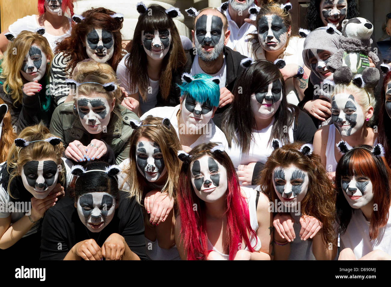 Badger flashmob fuori DEFRA a dimostrare contro il Badger cull Foto Stock