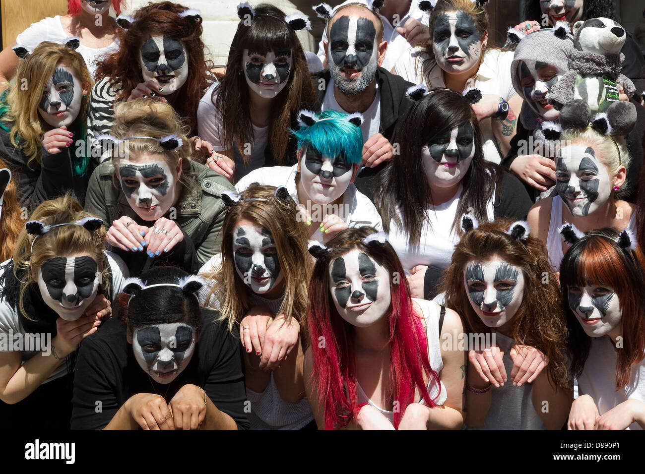 Badger flashmob fuori DEFRA a dimostrare contro il Badger cull Foto Stock