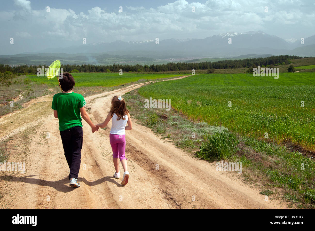 Bambino e bambina con reti a farfalla a piedi su un prato. Foto Stock