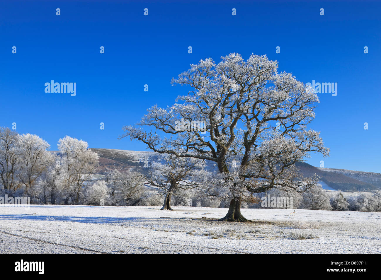 Paesaggio rurale Brecon Beacons Powys Galles in inverno Foto Stock