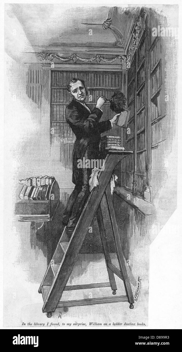 BUTLER SPOLVERARE LIBRI Foto Stock