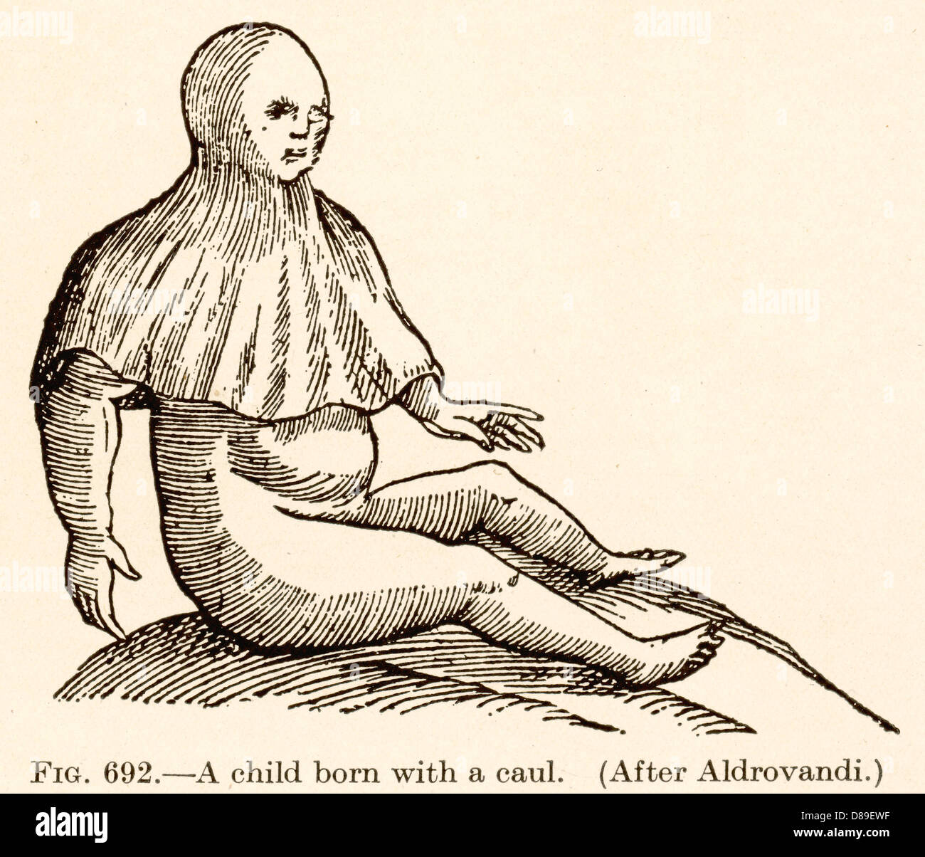 NATO CON UN CAUL Foto Stock