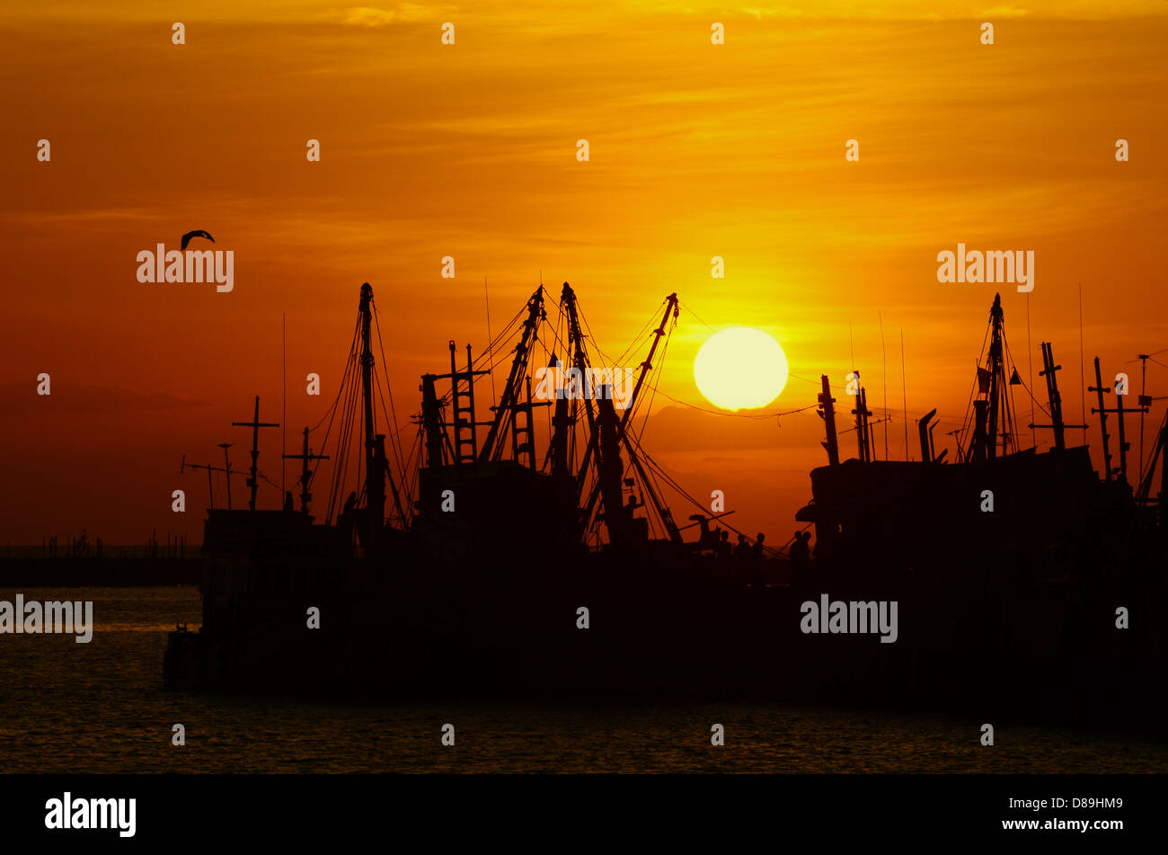 La pesca in barca al tramonto Foto Stock