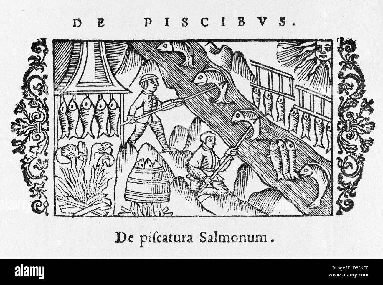 PESCA AL SALMONE/SCANDINAV Foto Stock