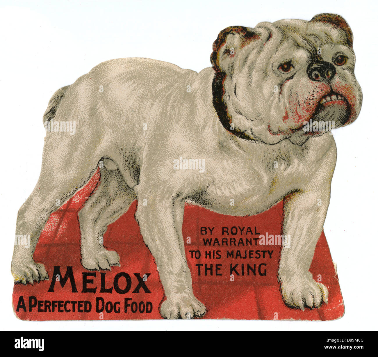 PUBBLICITÀ BULLDOG Foto Stock