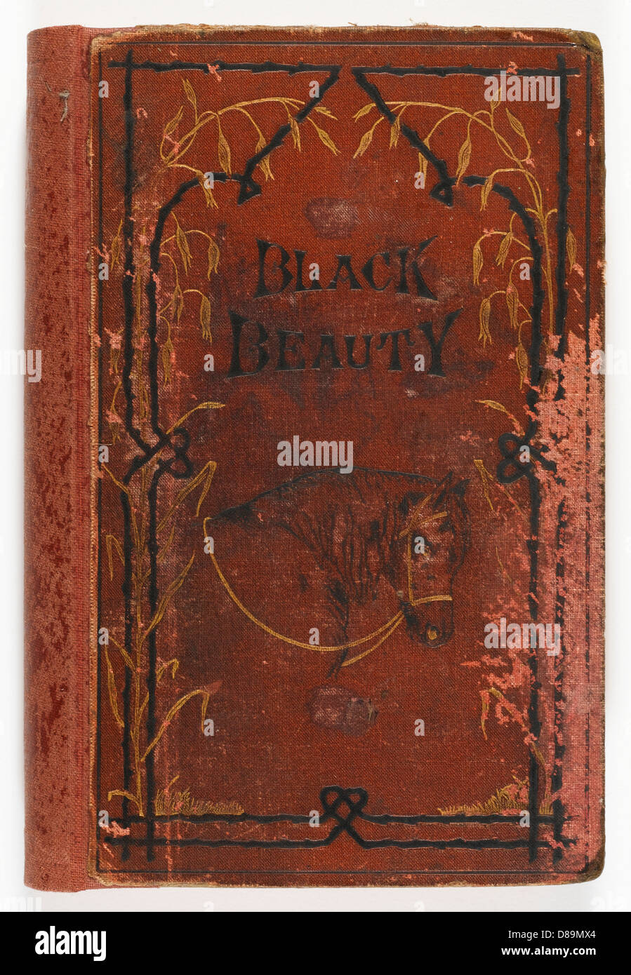 BLACK BEAUTY 1ST EDITION Foto Stock