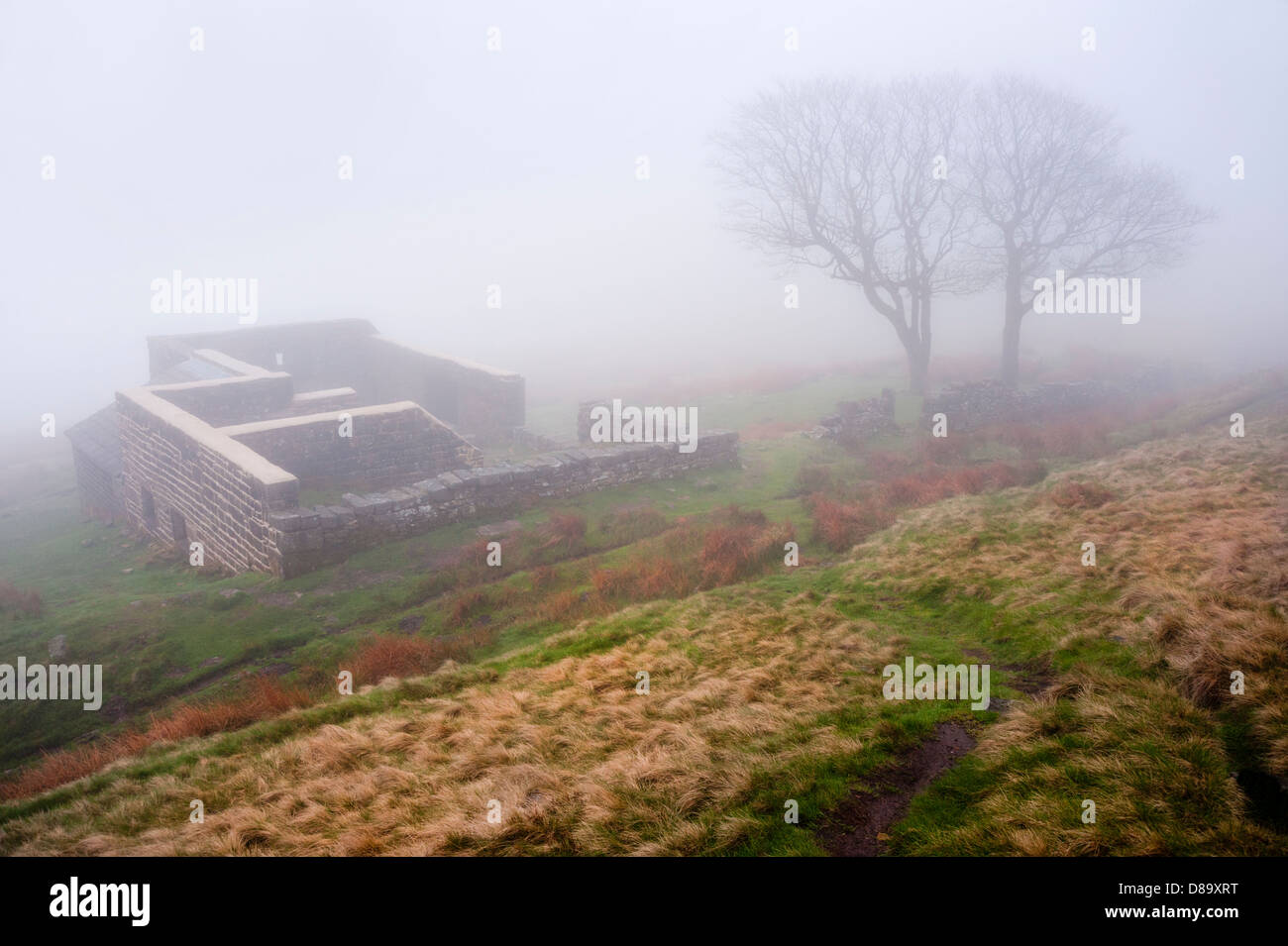 Top Withens rovine nella nebbia, associato con il romanzo Wuthering Heights, vicino Haworth, West Yorkshire, Regno Unito Foto Stock