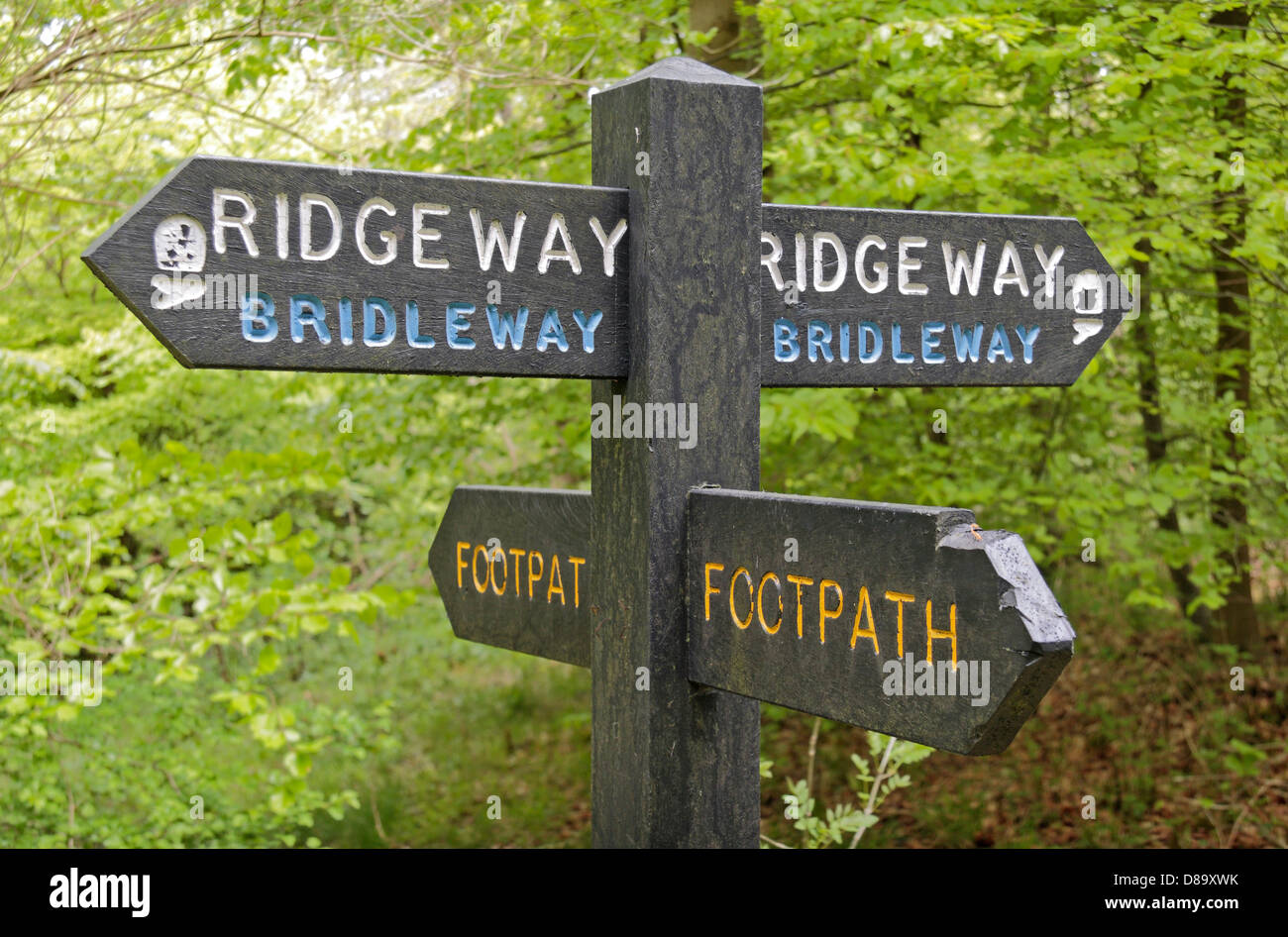 Segno post indicando la via lungo la Ridgeway National Trail bridleway/sentiero nel bosco Wendover, Chilterns, UK. Maggio 2013 Foto Stock