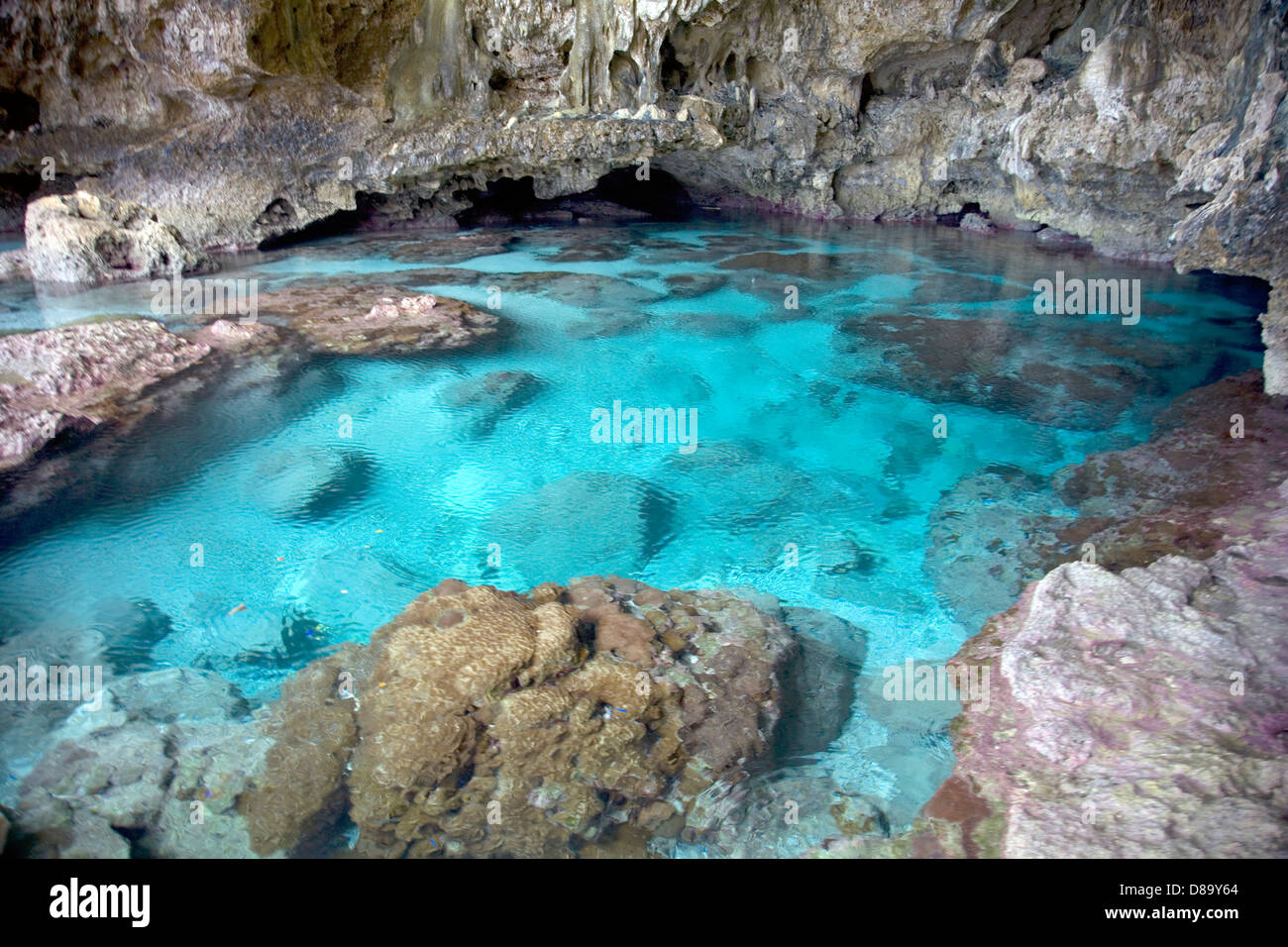 Piscina di acqua di mare interno Avaiki Grotta, Alofi, Niue, South Pacific Island. Foto Stock