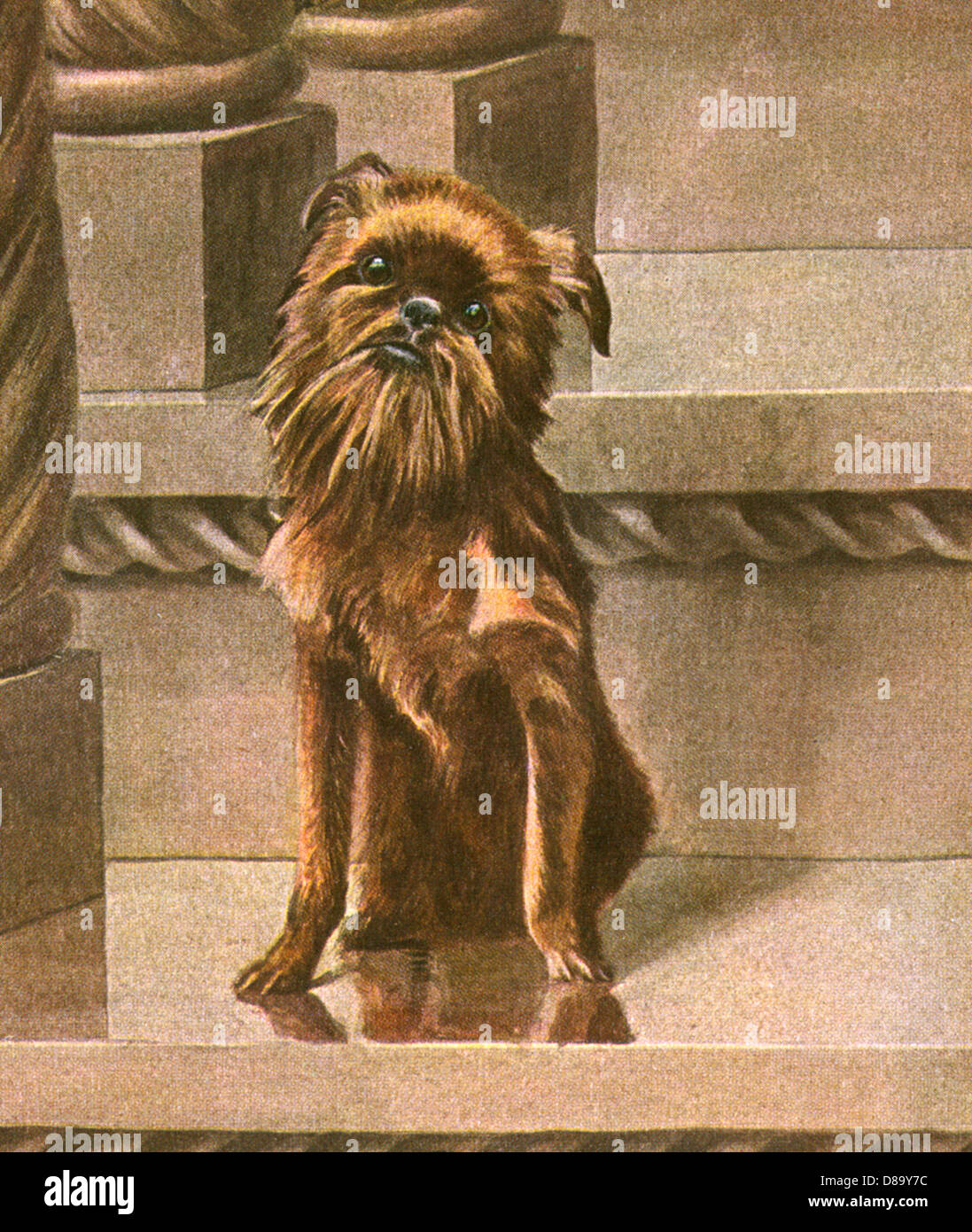 CANE SEDUTO IN PAESAGGIO URBANO Foto Stock