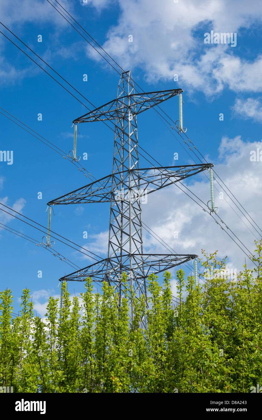 Elettricità pilone con contro il cielo blu con una nuova crescita sugli hedge in primo piano. Potrebbe essere utilizzato per rappresentare alternative/energia verde Foto Stock