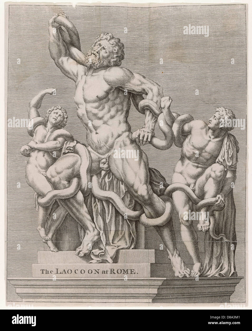SCULTURA LAOCOON 2 Foto Stock