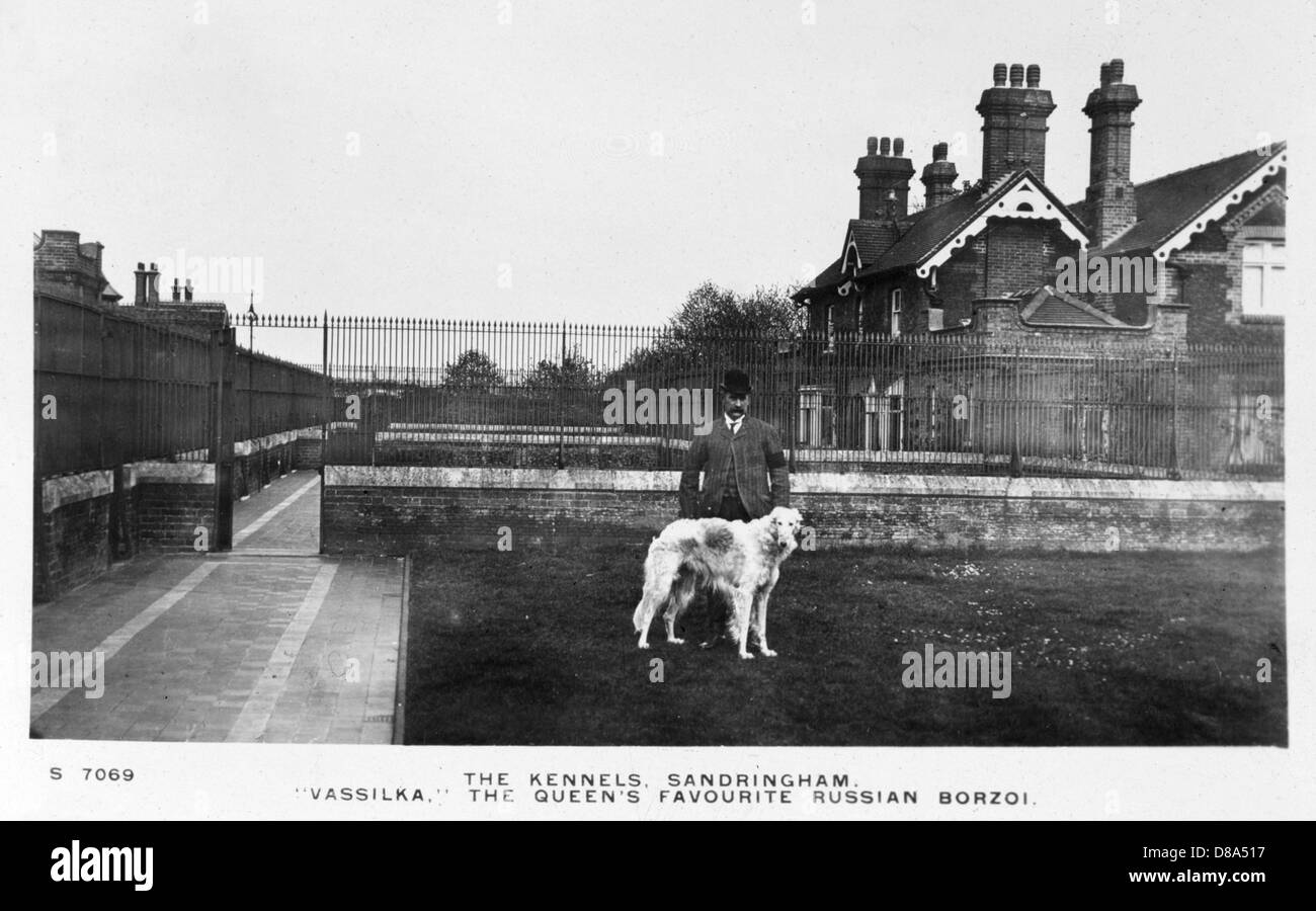 Vassilka Cane da compagnia della regina Alexandra, un dono da sua sorella Maria Feodorovna Foto Stock