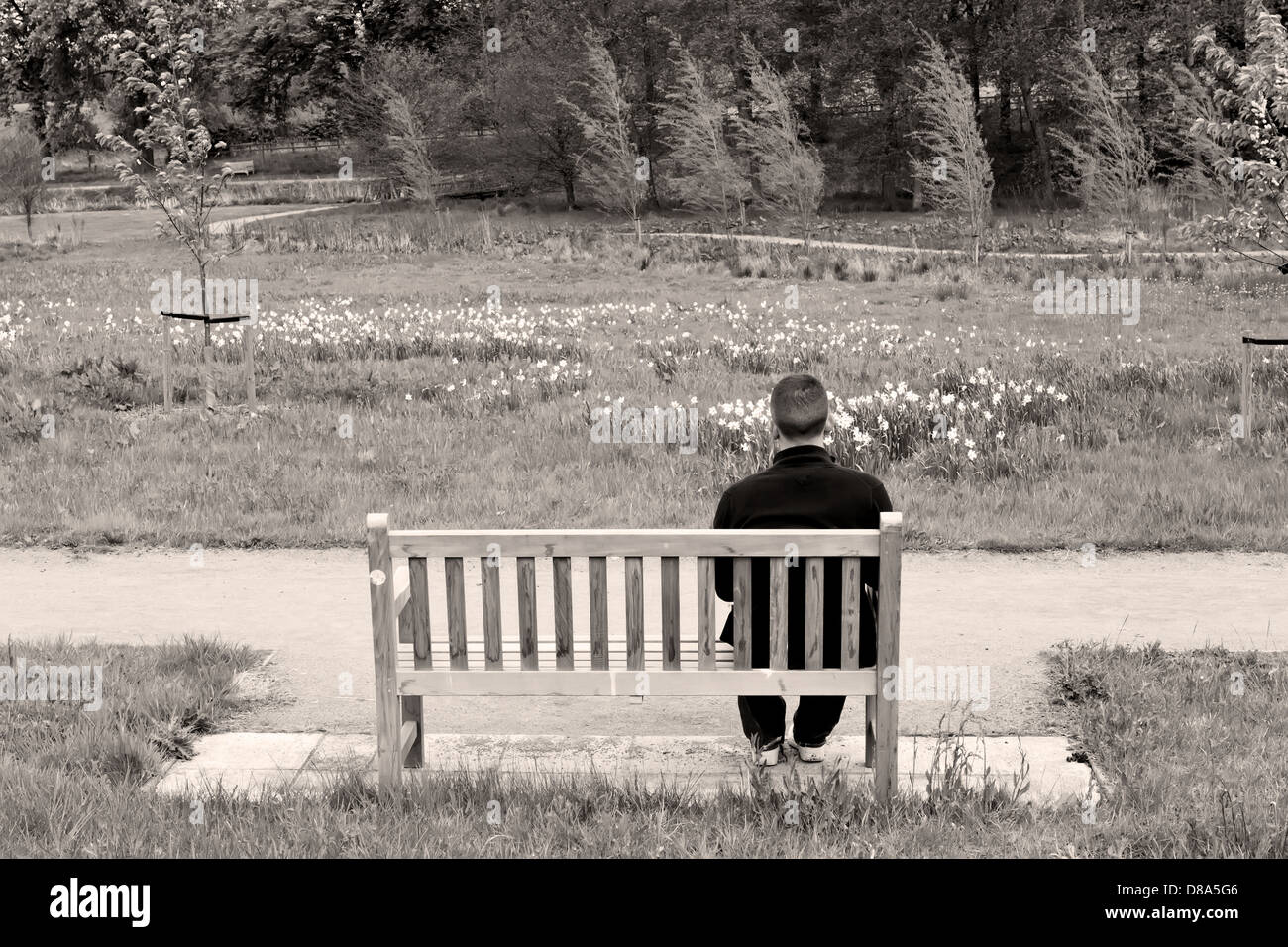Uomo seduto su una panchina di una scena di campagna Foto Stock