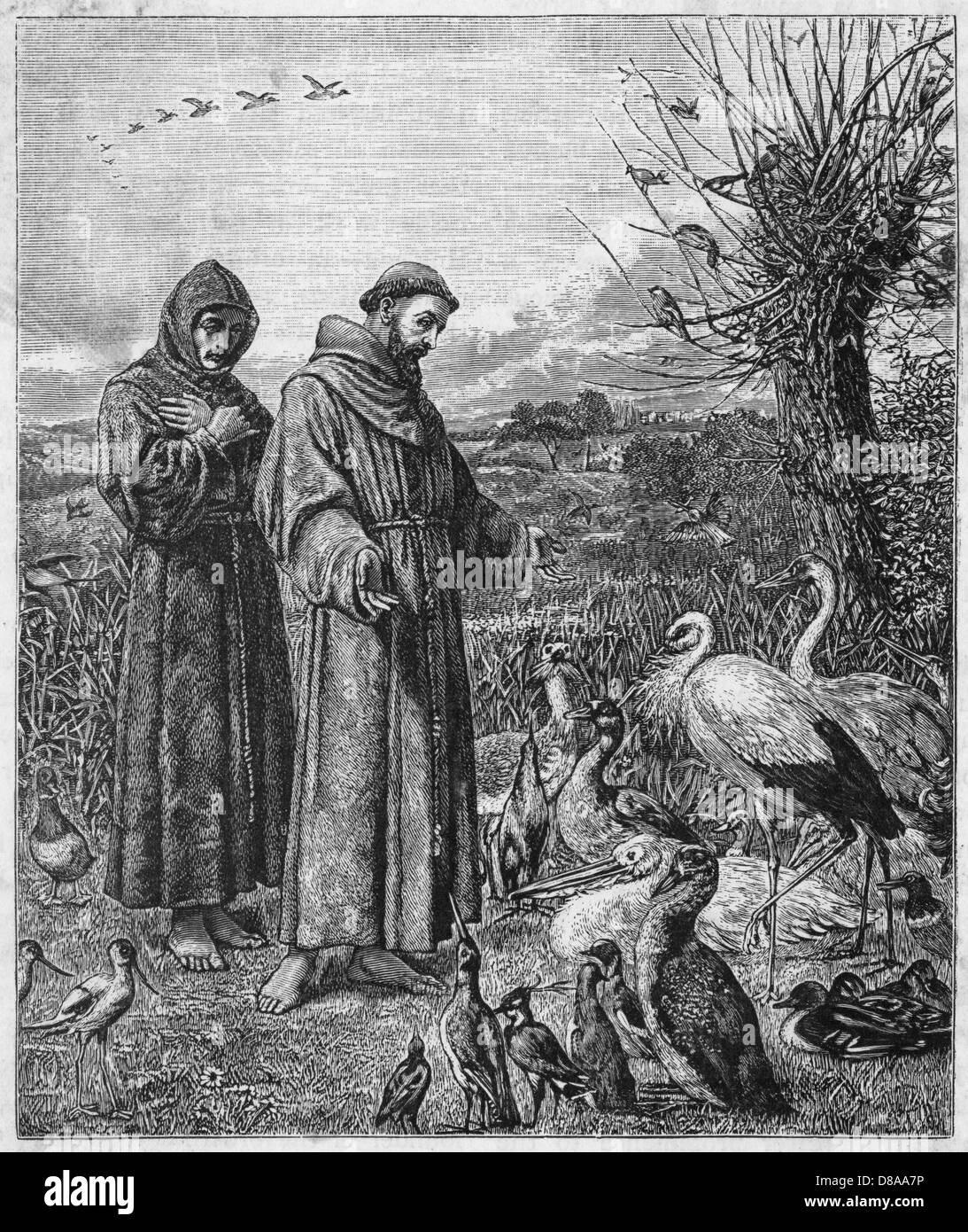 FRANCESCO D'ASSISI E UCCELLO Foto Stock