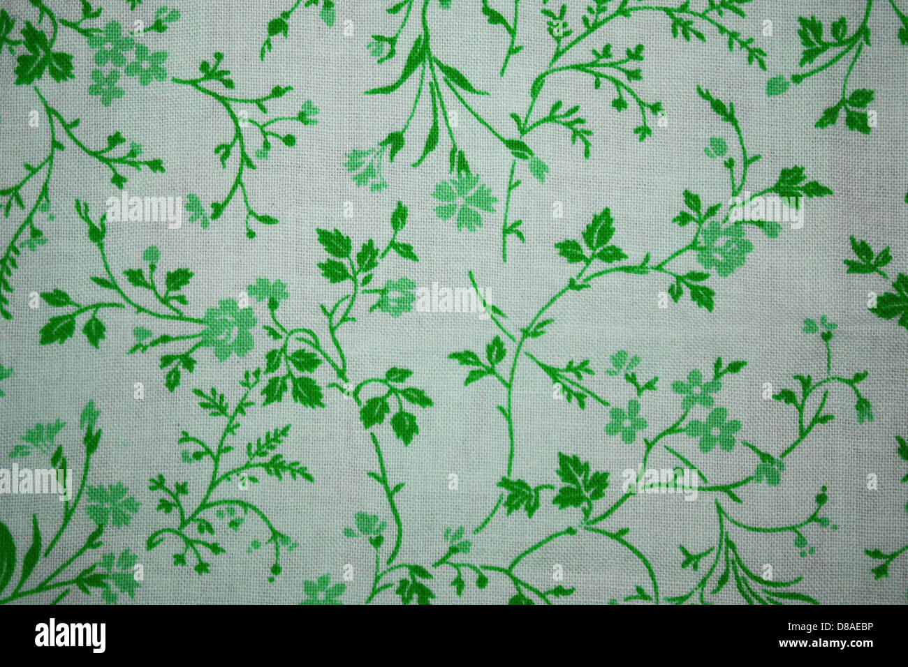 Questa immagine presenta un primo piano di tessuto con una stampa floreale verde su sfondo bianco. Il motivo dettagliato di fiori e foglie crea un aspetto testurizzato, adatto per il design di tessuti o tessuti. Foto Stock