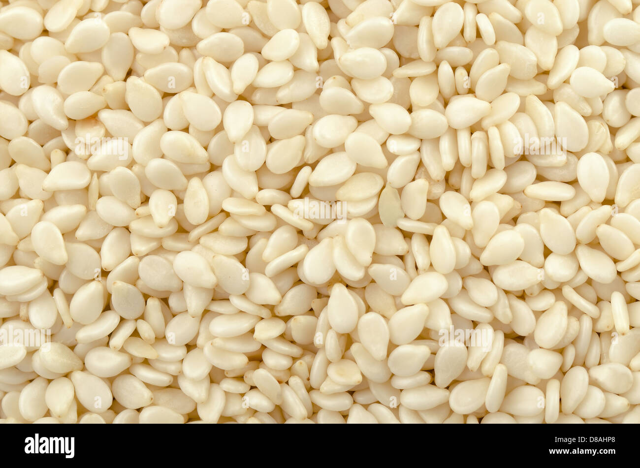 Close up di bianco di semi di sesamo Foto Stock
