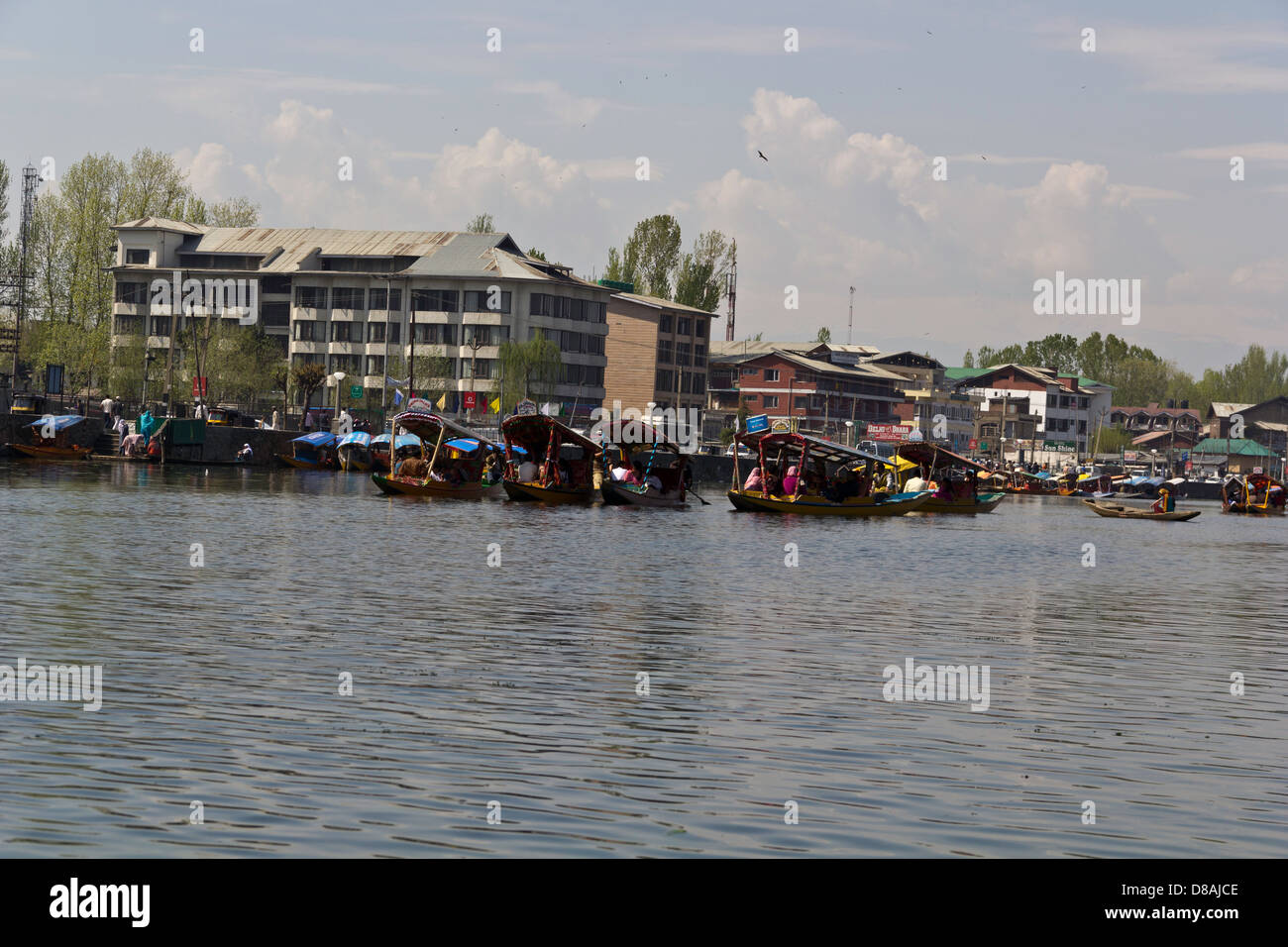 Famiglie rilassante in più Shikaras in dal lago a Srinagar Kashmir, India, con edifici sulla riva del lago Foto Stock