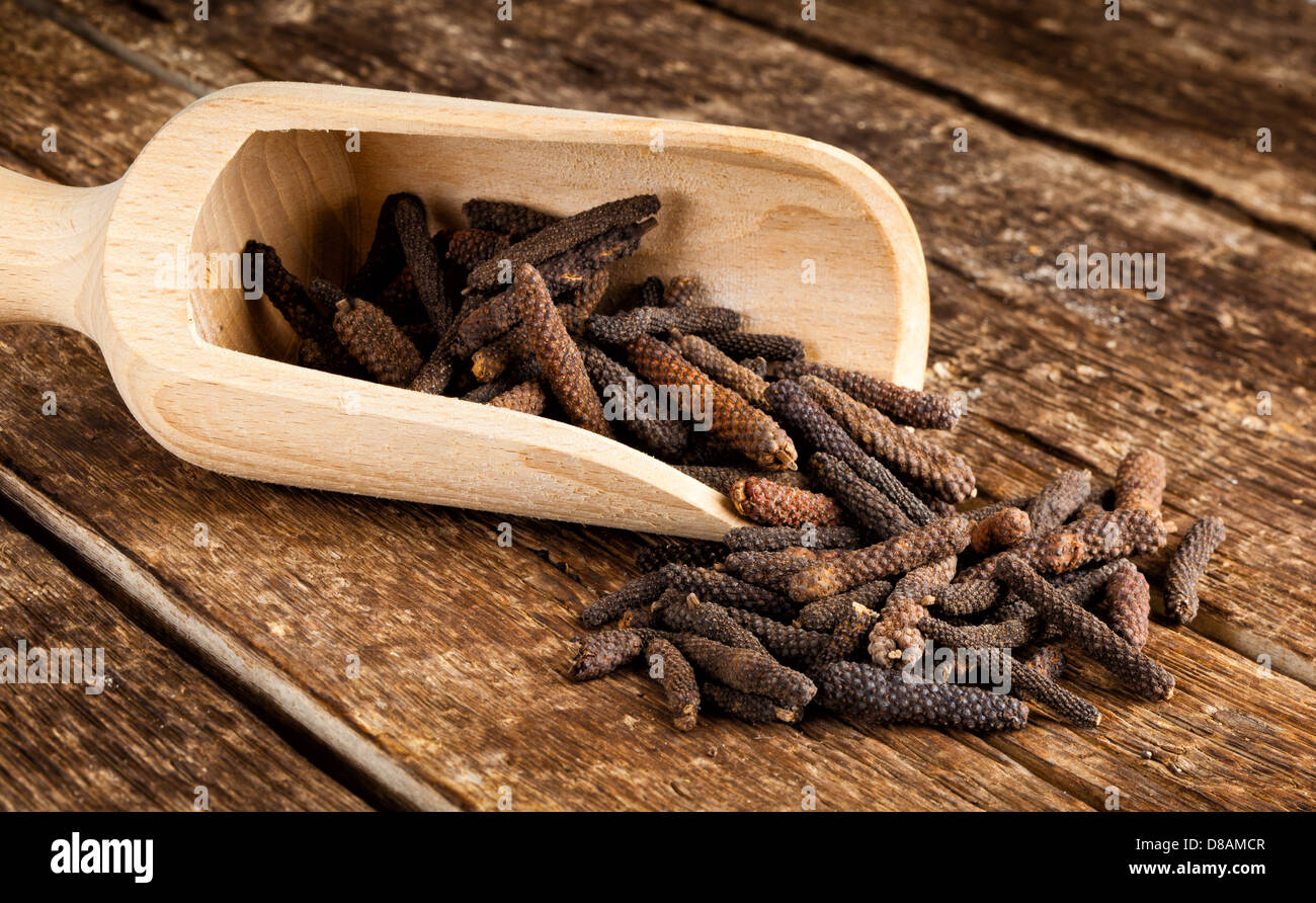 Tempo di pepe o di Piper longum sul tavolo di legno Foto Stock