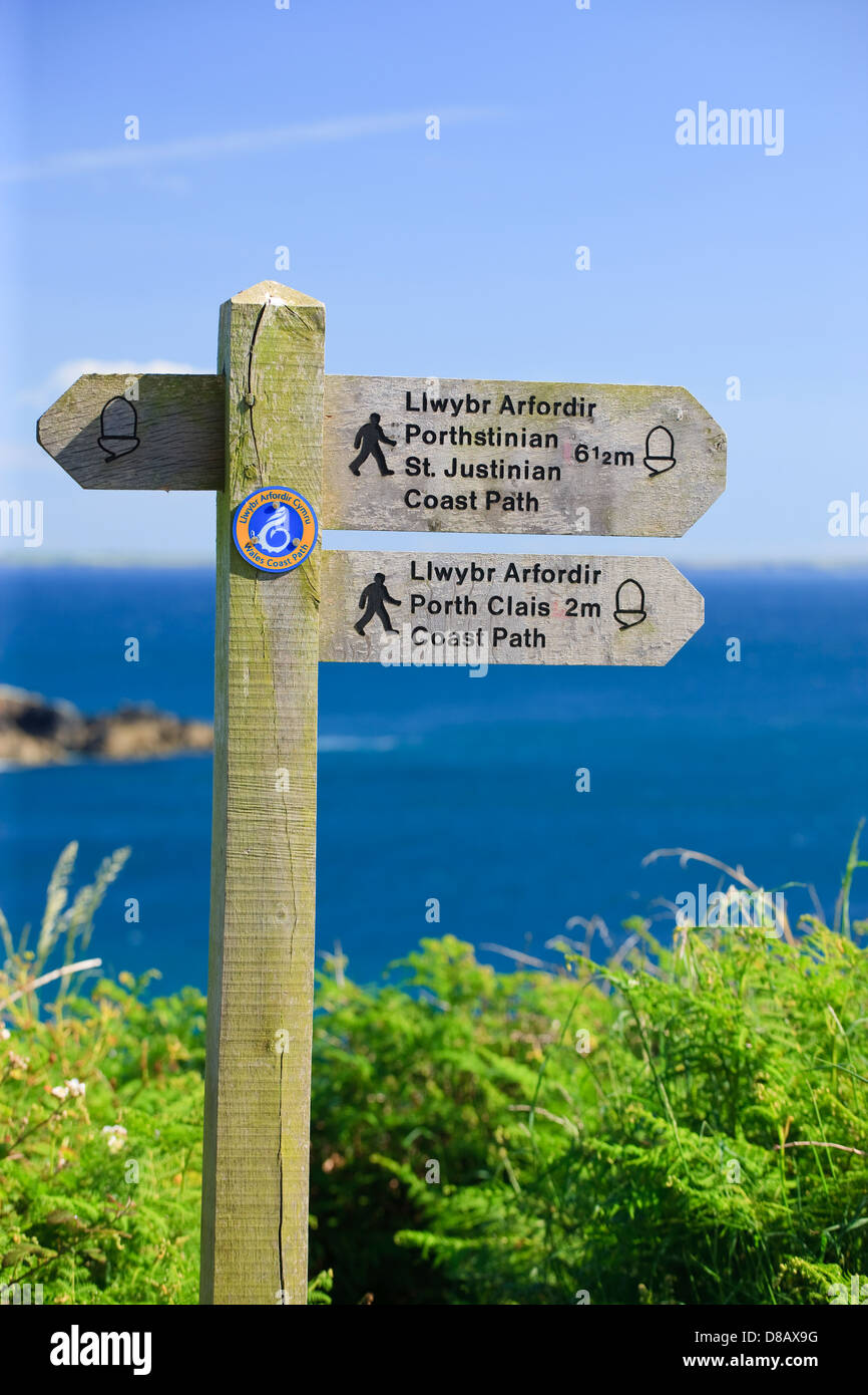 Sentiero costiero Caerfai Bay St Davids Pembrokeshire Wales Foto Stock