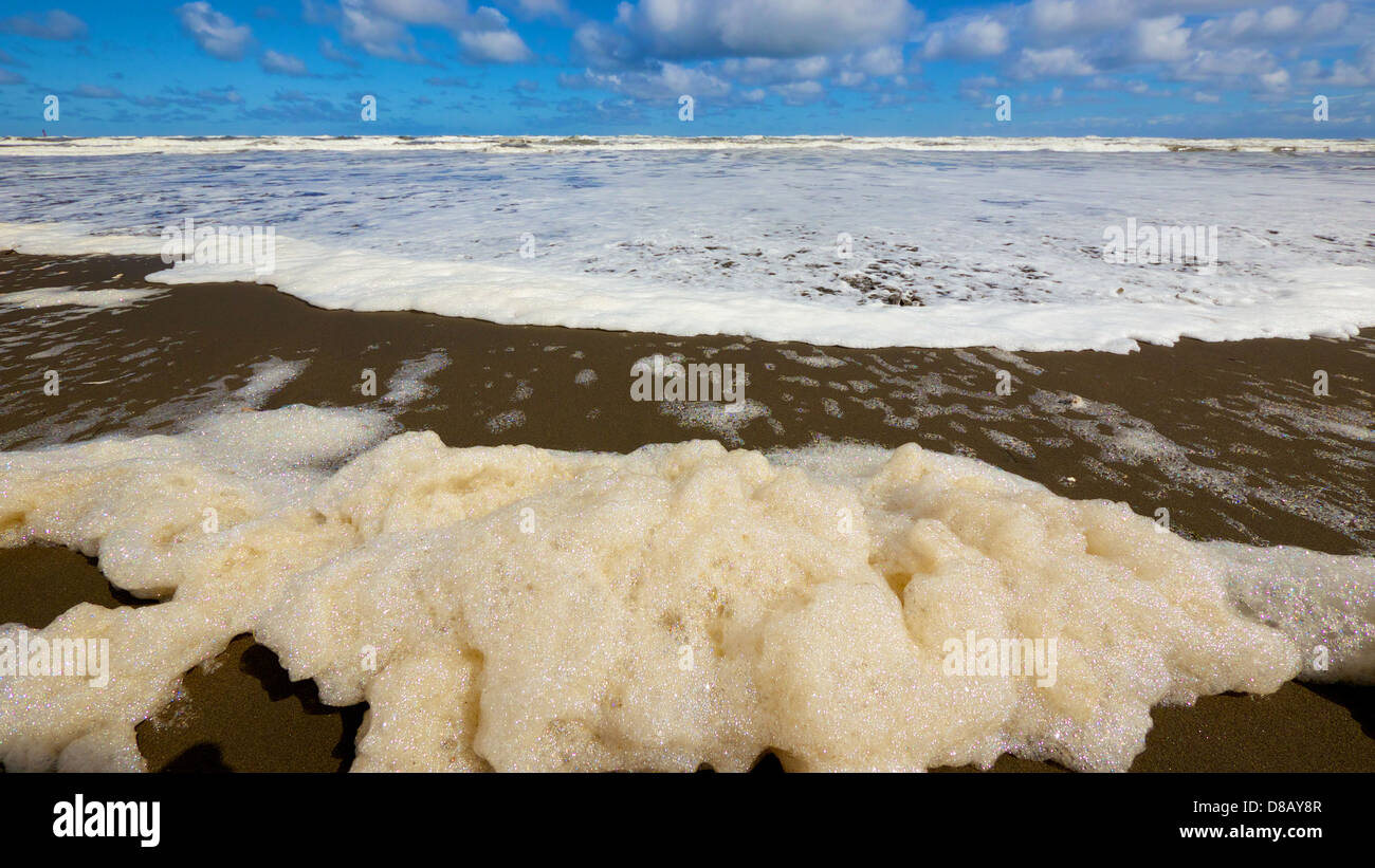 Giornata di sole blu cielo guardando il Mare di Okhotsk da Abashiri Foto Stock