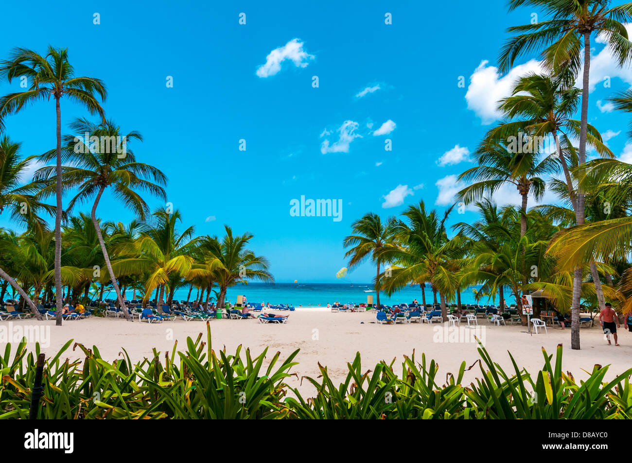 Spiaggia; Riu Palace; hotel; Punta Cana; Repubblica Dominicana; Caraibi Foto Stock