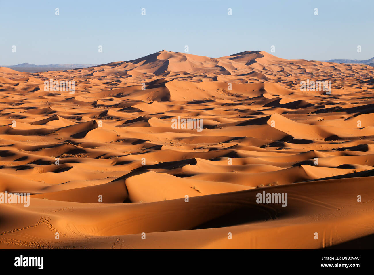 Erg Chebbi Dune: Sahara Sunset Foto Stock